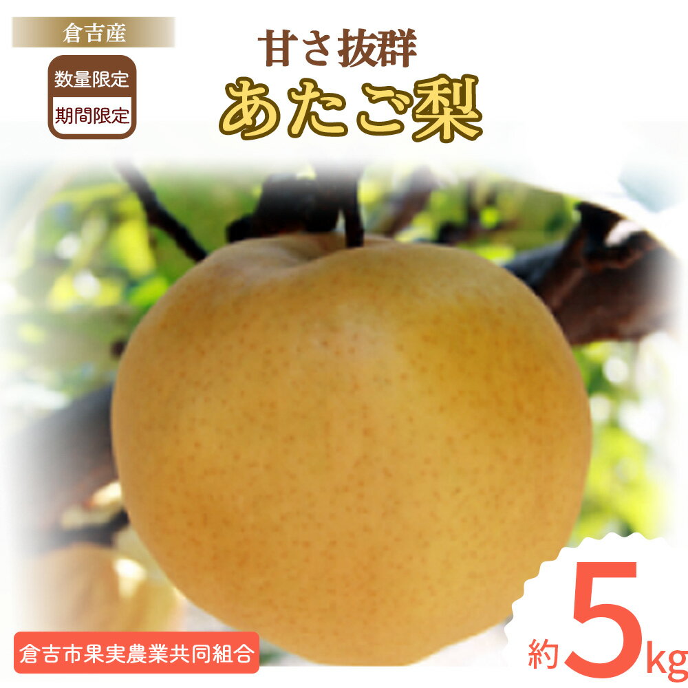 【ふるさと納税】 あたご梨 【倉吉産】 5kg（倉吉市果実農業共同組合） 梨 なし 果物 フルーツ 和梨 先行予約 数量限定 詰め合わせ 甘い ジューシー 14000 1万4千円