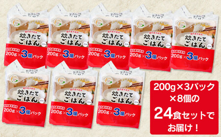 炊きたてごはん パックライス たっぷり 200g × 24食セット