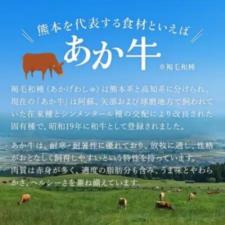 【毎月定期便】熊本県産あか牛 和牛100% オリジナルハンバーグ 150g×10個(益城町)全6回【配送不可地域：離島】【4089329】