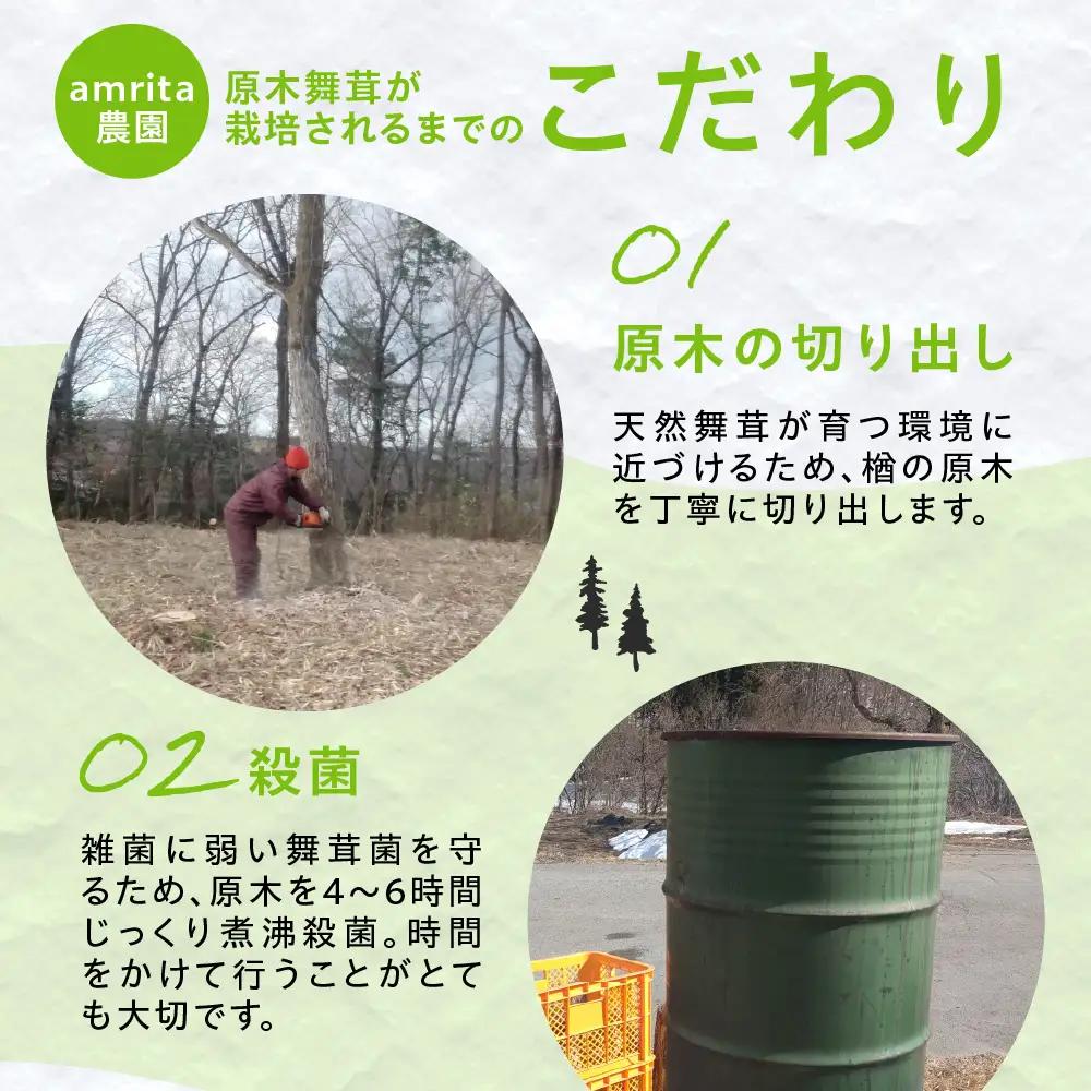 【9～10月発送】原木栽培舞茸500g | 舞茸 まいたけ 国産 野菜 やさい きのこ amrita農園 KM003