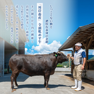 神戸ビーフ 神戸牛 牝 特選焼肉 川岸畜産 神戸ビーフ【300g】【冷凍】