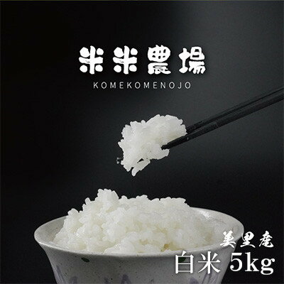 【ふるさと納税】【令和7年産】九州のお米食味コンクール2年連続優勝!熊本県美里町のお米 ヒノヒカリ 5kg×1袋【1689005】