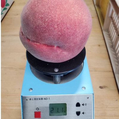 【1泊100万円高級宿御用達】1000個中1個の希少性『幻のシャトーブリアン桃』2025年6月下旬【配送不可地域：離島・北海道・沖縄県・中国・四国・九州】