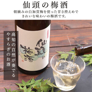 仙頭の梅酒720ml