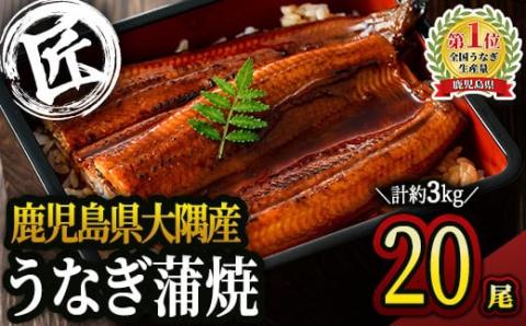 【土用の丑の日対応7/7入金まで】鹿児島県大隅産うなぎ蒲焼20尾（3kg）【国産】