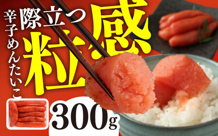 辛子めんたいこ 300g / めんたいこ めんたいこ めんたいこ めんたいこ めんたいこ めんたいこ めんたいこ / 佐賀県 / やちごや[41ACAE001]