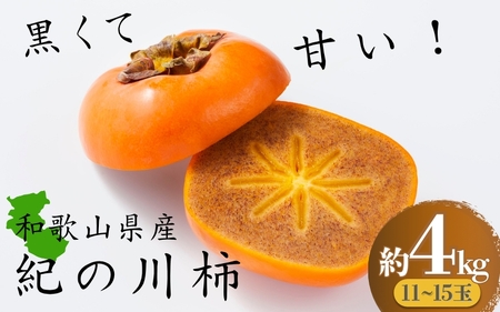 黒くて甘い 紀の川柿 約4kg ★和歌山県オリジナル★【2025年10月上旬～11月上旬ごろ発送予定】【A90017-frks169】