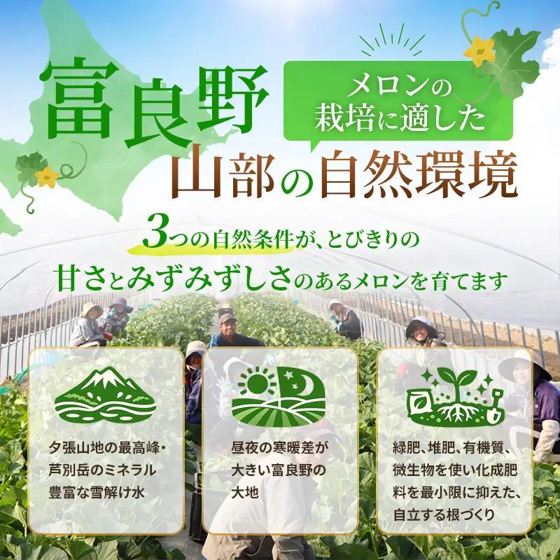 【2027年発送】富良野メロン 山部の絶品『鳳凰』2L 2玉 計約3.6kg以上