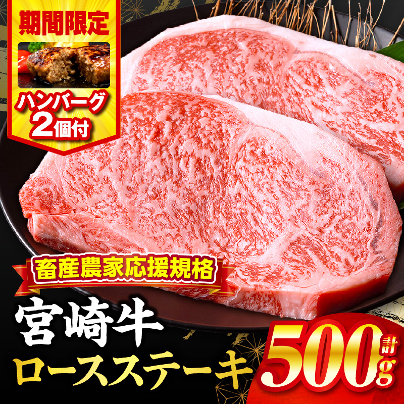 【期間・数量限定】畜産農家応援！宮崎牛ロースステーキ250g×2・国産牛ハンバーグ100g×2個_M132-014-B2