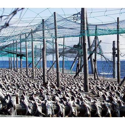 ふるさと納税 稚内市 老舗が作る真だらのカット棒だら　200g |  | 03