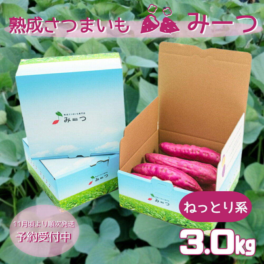 【ふるさと納税】【予約受付中・2025年11月頃より順次発送】 熟成さつまいも みーつ 3.0kg（ ねっとり系 ）｜ 紅はるか べにはるか 甘い ねっとり 熟成 国産 産地直送 スイーツ おやつ 焼き芋 焼芋 焼きいも スイートポテト 天ぷら 干し芋 ギフト お土産 おみやげ