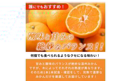 【先行予約】高級ブランド 秀品 紀州有田田村産みかん 3kg ※2025年12月頃〜2026年1月下旬頃に順次発送予定 / みかん ミカン 蜜柑 温州みかん 柑橘 フルーツ 果物 【uot848】