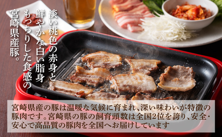 豚肉焼肉・しゃぶしゃぶ詰め合わせ1.8㎏ K18_0041_1