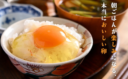 【12回定期便】新鮮 卵 120個（100個+卵割れ保証20個）(10個×12パック)京都丹波『霧の卵』三和鶏園 ≪たまご タマゴ 玉子 生卵 鶏卵 小分け 贈答 ギフト ふるさと納税 卵 直送 冷蔵