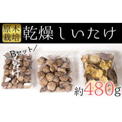 食感と甘みが格別!臼杵産ふるさと乾しいたけBセット(計480g)