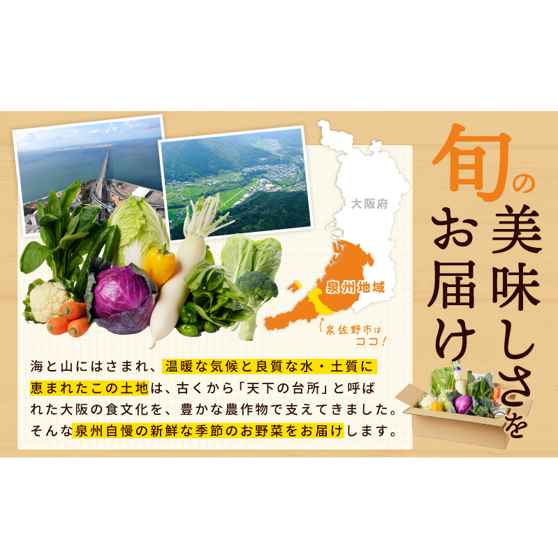 季節の泉州野菜 7種 おまかせセット ピクルスの素 1袋付き いずみピクルス NSW 005A609_イメージ2