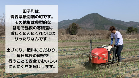 【農家直送】田子町産むきニンニク『1.2kg』（200ｇ×6袋）
