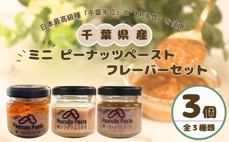 ピーナッツペースト  3個セット ミニフレーバー ピーナッツ