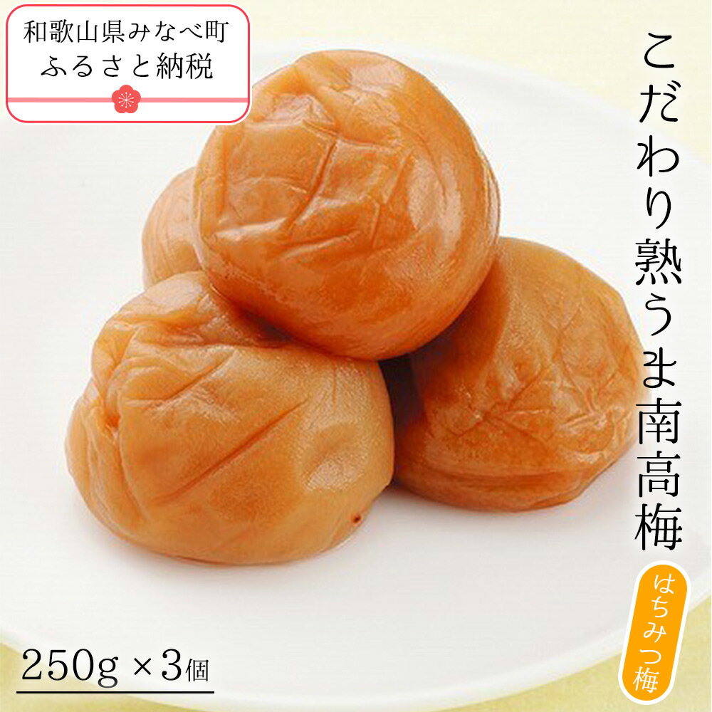 【ふるさと納税】こだわり熟うま南高梅 はちみつ梅 750g | 《日本一の梅の産地》 無添加 減農薬 自家農園 和歌山 みなべ町 坂忠商店 梅干 梅 ウメ うめぼし 紀州梅干 南高梅 ギフト