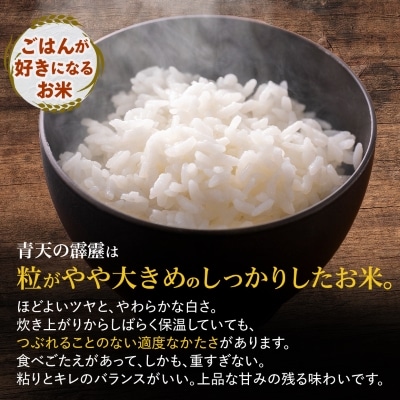 青天の霹靂 精米5kg【化粧箱入り】