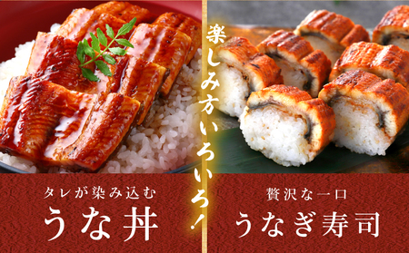 職人 手焼き うなぎ蒲焼 1尾 計130g以上 鰻 魚介類 伝統の味 秘伝のタレ 厳選 国産 ウナギ おかず 食品 加工品 真空パック 冷蔵 人気 おすすめ うな重 うな丼 惣菜 お土産 ひつまぶし 