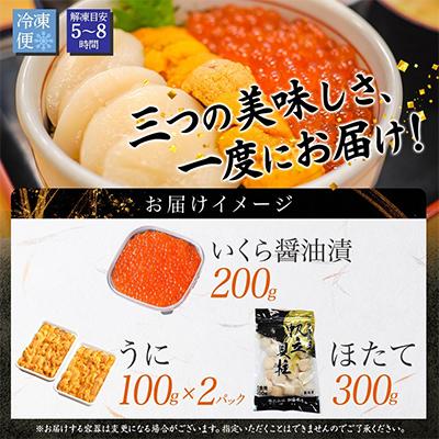 ふるさと納税 弟子屈町 ウニ & いくら醤油漬け & ホタテ 海鮮丼 3種 北海道 弟子屈 3203 |  | 03