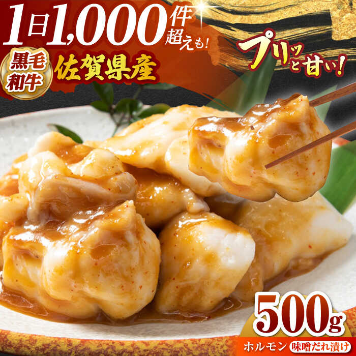 【ふるさと納税】佐賀県産黒毛和牛 ホルモン ( 味噌ダレ ) 500g 【山下牛舎】 [HAD109] / ホルモン ほるもん 味付き 味噌だれ ミソ 黒毛和牛 牛肉 肉 国産 佐賀県江北町 12000 12000円
