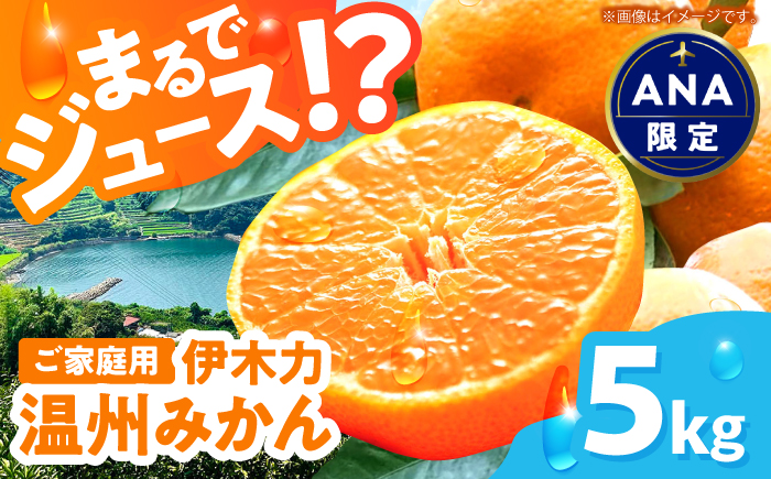 【ANA限定】※【2027年1月より順次発送／先行予約】伊木力温州みかん5kg(ご家庭用、箱入り)  末永果樹園 [AHBD003]