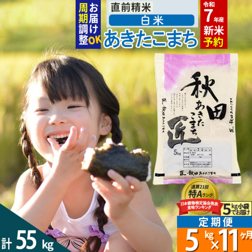 【白米】＜令和7年産 新米予約＞ 《定期便11ヶ月》秋田県産 あきたこまち 5kg (5kg×1袋)×11回 5キロ お米  新米