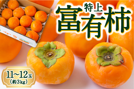 逸品富有柿 11玉から12玉 (約3kg) 【2025年11月下旬-2025年12月上旬発送予定】 柿 果物 フルーツ うきは市