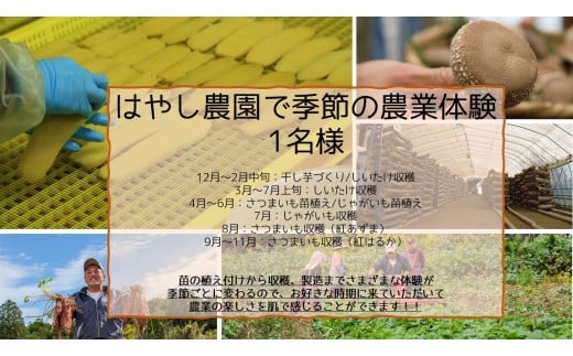 
はやし農園で季節の農業体験（1名様分）
