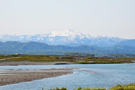 石川県能美産コシヒカリ　ぐっどのみ(精米)10kg お米 白米 ブランド米 銘柄米 ご飯 おにぎり お弁当 和食 主食 国産 炭水化物 産地直送 