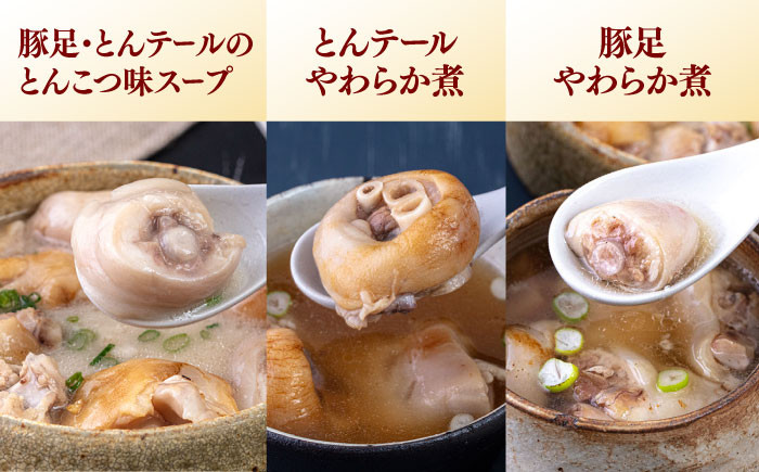 国産 とんそく・とんテール煮込みスープ セット 豚足 トンソク 豚 長期保存 常温 スープ