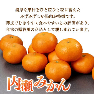 定期便 先行予約 柑橘 全2回 内瀬みかん 内瀬デコ・せとかミックス / 柑橘定期便 柑橘定期便 柑橘定期便 柑橘定期便 柑橘定期便