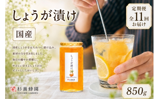 しょうが漬け 850g