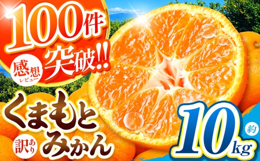 訳あり 大玉 くまもとみかん 約 10kg | 果物 みかん くだもの みかん フルーツ みかん 柑橘 みかん 柑橘類 みかん ミカン 家庭用 みかん 熊本県 みかん 玉名市 みかん