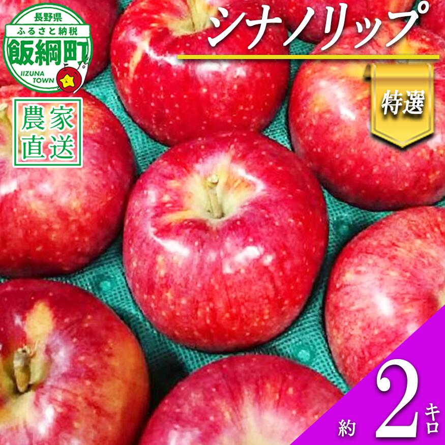 【ふるさと納税】 りんご シナノリップ 特選 2kg やまじゅうファーム 沖縄県への配送不可 令和8年度収穫分 信州の環境にやさしい農産物 減農薬栽培 長野県 飯綱町 【 信州 果物 フルーツ リンゴ 林檎 長野 12000円 】発送時期：2026年8月中旬〜