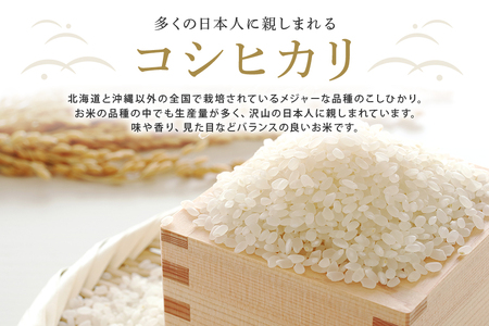 常陸大宮産 コシヒカリ 15kg(5kg×3) 特選限定米 こしひかり ブランド米 【一般財団法人常陸大宮市観光物産協会】【ho1398】