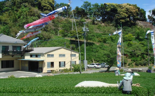 掛川の小さな茶農家直送 農業遺産茶草場実践工場 深蒸し掛川茶「うぐいす」 200g×2【配送不可地域：離島・沖縄県】【1674940】