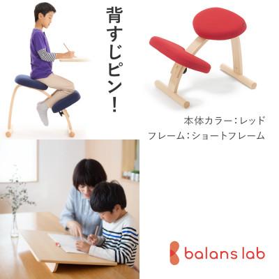 ふるさと納税 美濃市 バランスイージー ショート[レッド]+イージーライティングボードL【複数個口で配送】