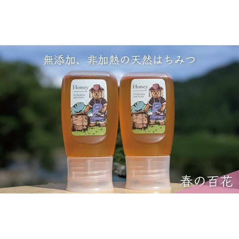 【先行予約 2025年6月20日より発送】合計600g 天然蜂蜜 国産蜂蜜 非加熱 生はちみつ 岐阜県 美濃市産 春 (蜂蜜300g入りピタッとボトル2本セット)A10 深田養蜂のハチミツ_イメージ1
