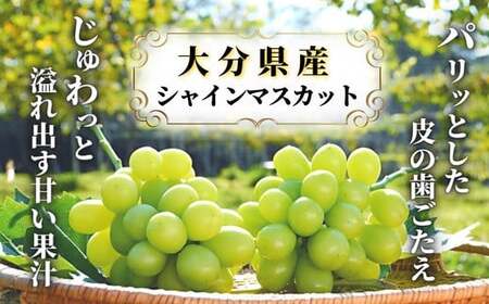 【ふるさと納税】《先行予約》至極の果実シャインマスカット2kg | 豊後高田市 シャインマスカット
