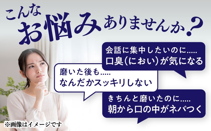  歯みがき 歯磨き粉 歯磨き はみがき はみがきこ 口臭予防 銀イオン オフィス 会社用 旅行用 外出用 家庭用 日常