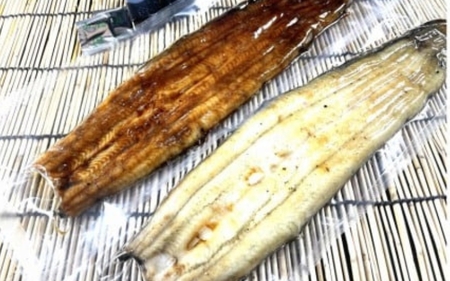 特選国産雌うなぎ蒲焼骨抜き（秘伝タレ付き）【osge0002】