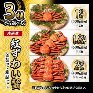 ＜先行予約受付中！10月上旬～順次発送予定＞＜訳あり・平日着※指定日不可＞蟹屋の釜茹で紅ずわい蟹箱詰めセット(600g前後×3杯) 魚介 海鮮 海の幸 カニ かに 蟹 紅ずわい ボイル 焼きガニ 鍋 