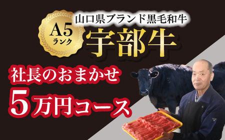 【山口宇部牛】社長おまかせ＜５万円コース＞黒毛和牛Ａ５ランク宇部牛 AX12-FN　（黒毛 和牛 宇部 山口 和牛 極上 和牛 牛 A5ランク 和牛 サーロイン ローストビーフ ステーキ）