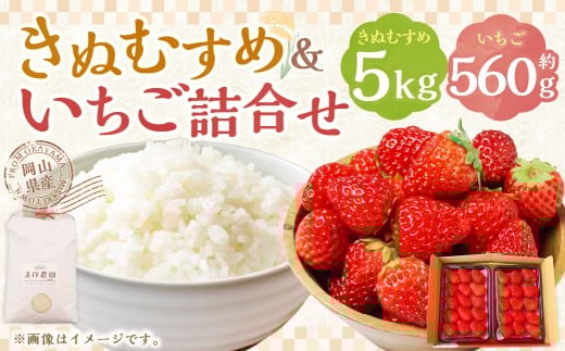【令和7年産】 新米・精米 きぬむすめ5㎏&いちご詰合せ（約280g×2パック） 【2026年1月上旬から5月上旬頃発送予定】 いちご お米 白米 セット 冷蔵 岡山県 美咲町