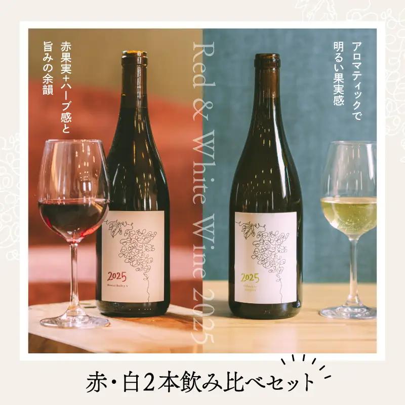ワイン 2025 赤白 2本飲み比べセット 750ml 各1本 ワイン
