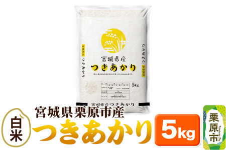 米 【白米】令和7年産 宮城県産 つきあかり 5kg×1袋 お米 精米 宮城県 栗原市