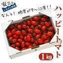 【ふるさと納税】ハッピートマト1kg